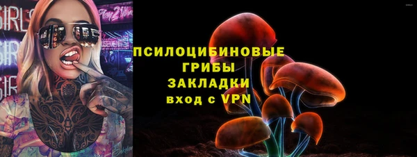 молекула духа Арсеньев