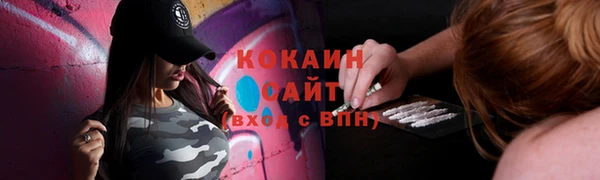гидра Новодвинск
