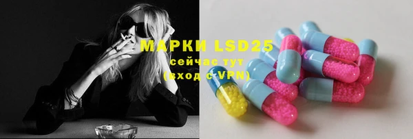 молекула духа Арсеньев