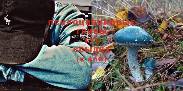 твердый Новозыбков