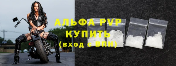 молекула духа Арсеньев