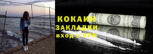 молекула духа Арсеньев